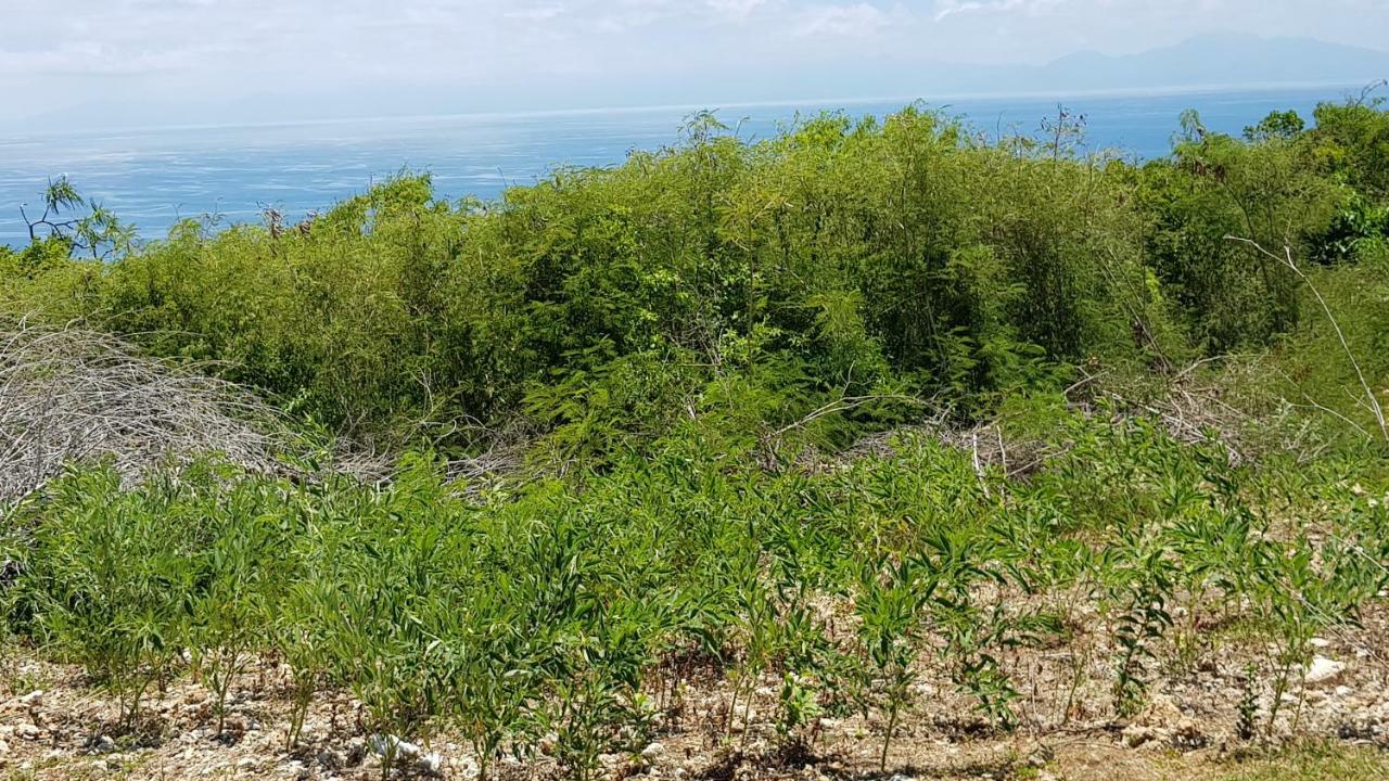 Planete Bleue Habitation Mes Desirs Villa Beaurenom Kültér fotó